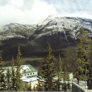 Meet your Posher, Helena